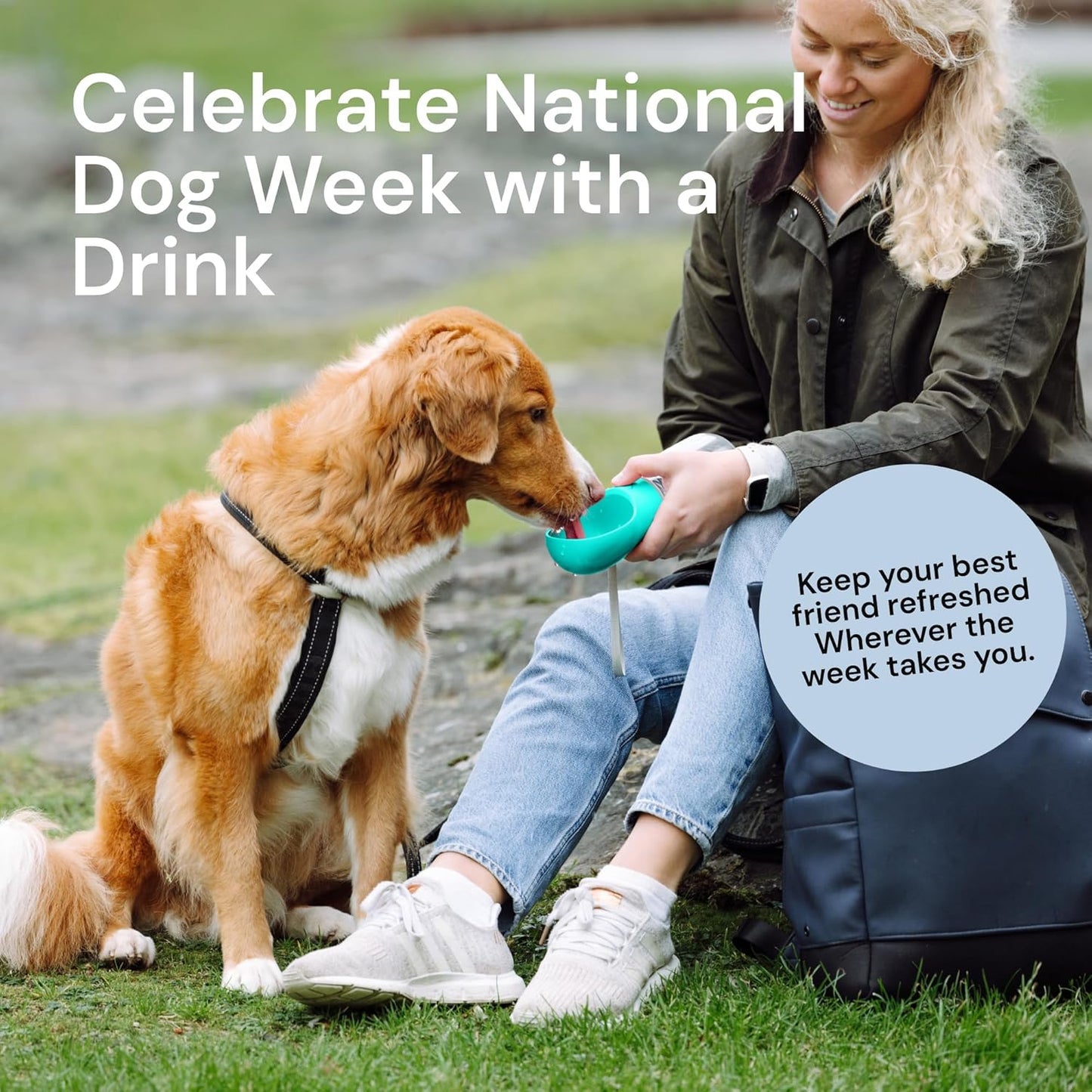 Portable Dog Water Bottle - 19 Oz, Blue - Leak-Proof Water Bowl Dispenser with Lock for Hiking, Travel & On-The-Go